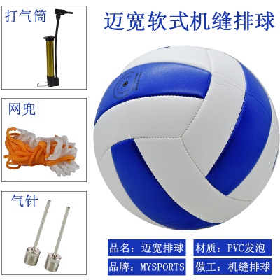 蓝白 赠2针+网兜+气筒