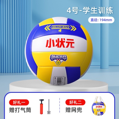 柔软护手老师推荐（送打气筒+气针+网兜）-4号球