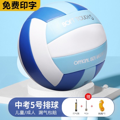 浅蓝白【5号防爆加厚】送气筒气针网兜