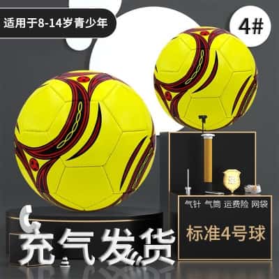 4号-高级黄（送气针 气筒  网袋）