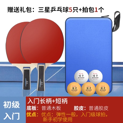 初级入门（直拍横拍各1支+5只三星球1拍包