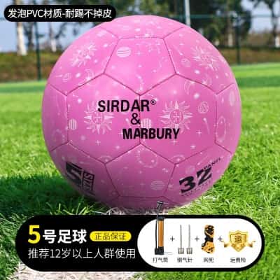 5号粉色升级发泡（12岁以上标准专业球）