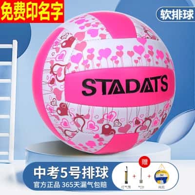 5号粉色女生软排球【免费印名字】 打气筒+气针+网兜