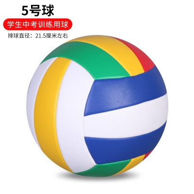 基础款：5号学生中考五色 充气发货无赠品