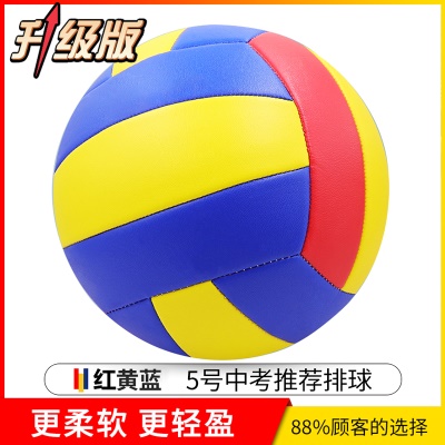 红黄蓝【升级款】5号加厚软皮（送气筒气针网兜）