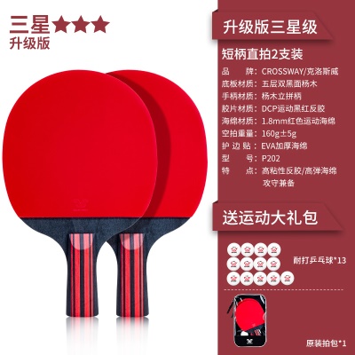 【升级版三星级2支装】短柄直拍-送13个球、拍包