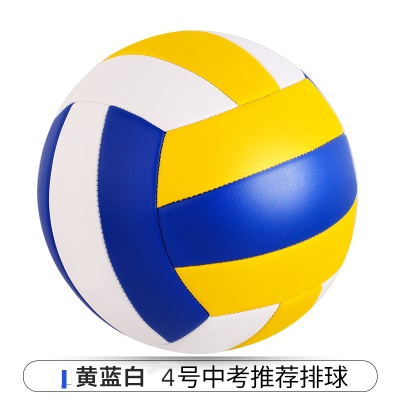 黄蓝白【常规款】4号中考学生专用（送气筒气针网兜）