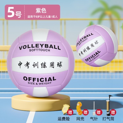 【5号紫色】马卡龙-加厚款--送打气筒+网兜+气针