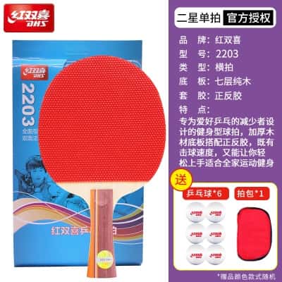 【日常健身】2星正反胶横拍1支*送6只球1拍包
