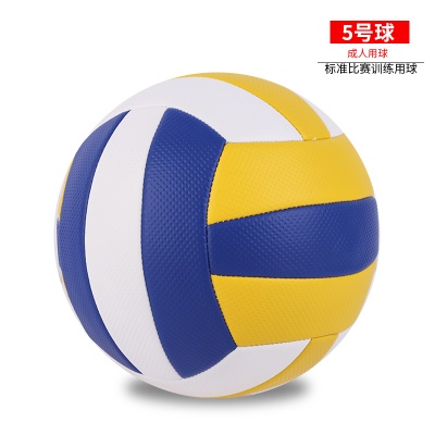 防爆加厚款；5号中考颗粒黄白蓝 送气筒气针网兜