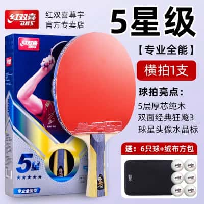 五星全能型（H5）横拍一支