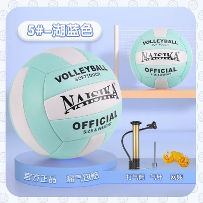 防爆加厚【5号湖蓝色】中考专用送气筒网兜气针