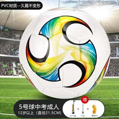 【5号】彩色旋风-升级加厚（气筒+网兜+气针）