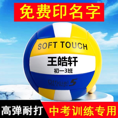 5号高端标准软排球【免费印名字】 打气筒+气针+网兜