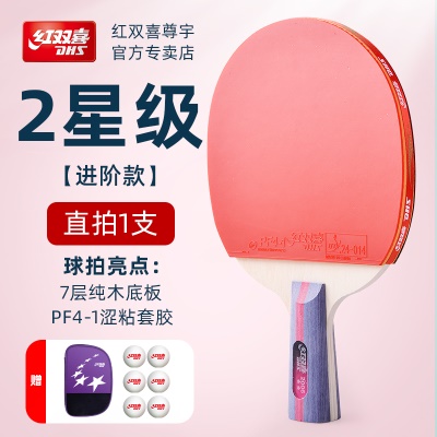 2星H2006【直拍1只】送6球+包