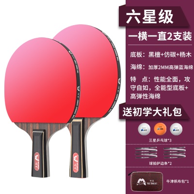 【六星级-黑檀木】直横拍各一支，送3个三星球+护边条+拍包