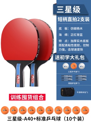 【三星级】短柄直拍两支+10个三星球，送3个球+护边条+拍包