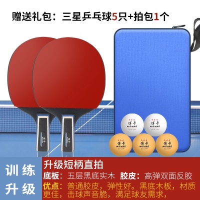 3星训练（直拍短柄）2支+送5球+1拍包