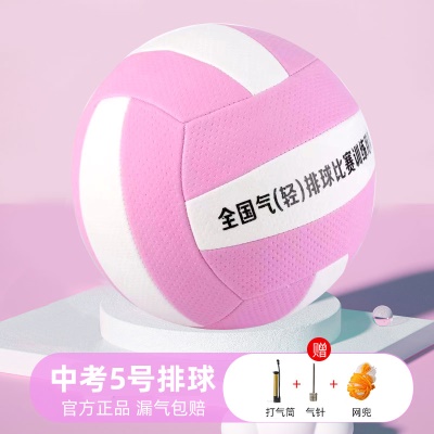 5号超轻气排球粉色送气筒+网兜+气针