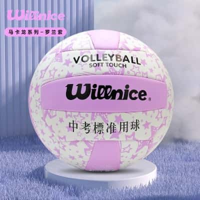 香芋紫-加厚耐磨柔软高颜值升级款送气筒球包网兜气针+漏气质保