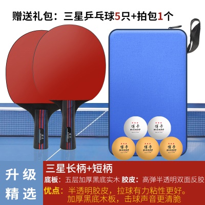 4星进阶（横拍+直拍）2支+送5球+1拍包