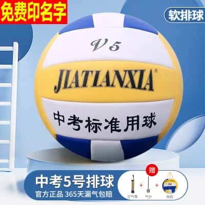 5号甲天下软排球【免费印名字】 (打气筒+气针+网兜)