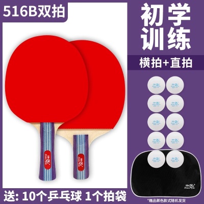 516B双拍【直拍+横拍】初学训练套装 （送10球）