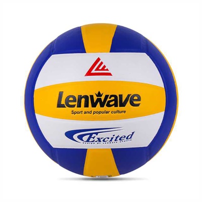 5号贴皮排球0573