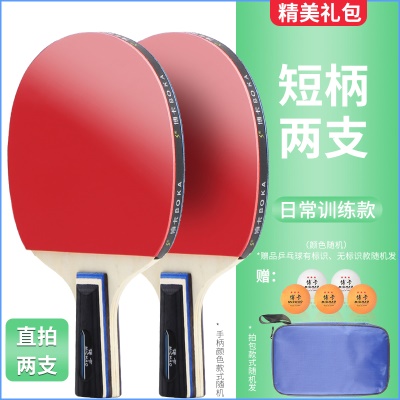 日常训练款（短柄直拍2支）5只三星球+1拍包
