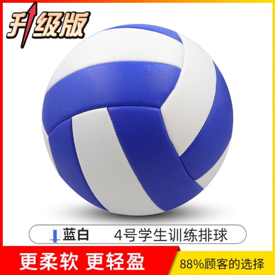 蓝白【升级款】4号加厚软皮（送气筒气针网兜）