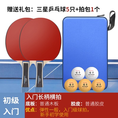 初级入门（横拍2支）+5只三星球1拍包