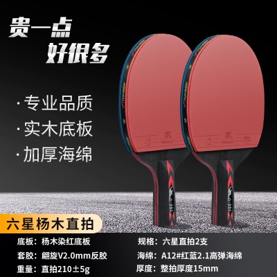 6星短柄直拍2支【专业品质+质保3年免费换新】