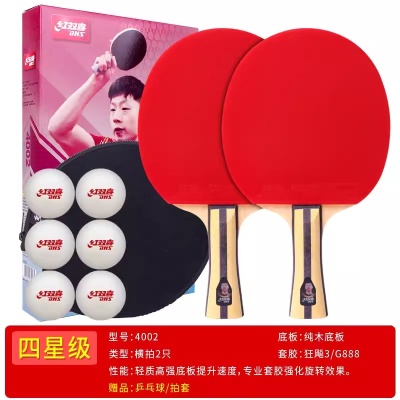 4星双拍【横+横】送乒乓球+拍套