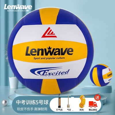 5号贴皮排球蓝+气筒+气针网兜