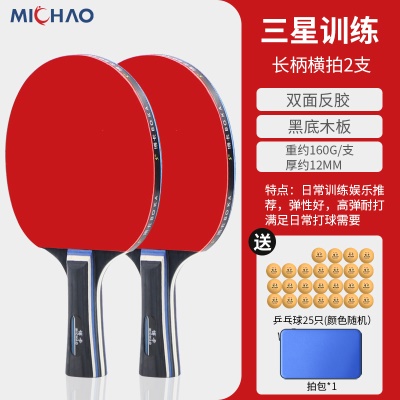 三星级训练款（横+横）25只三星球+拍包