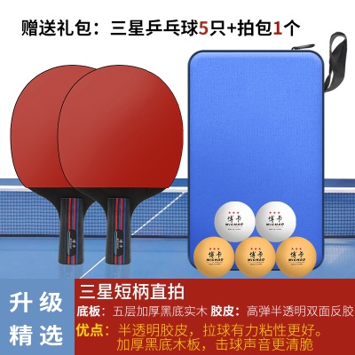 4星进阶（直拍短柄）2支+送5球+1拍包