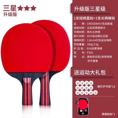 【升级版三星级2支装】1长柄1短柄-送13个球、拍包