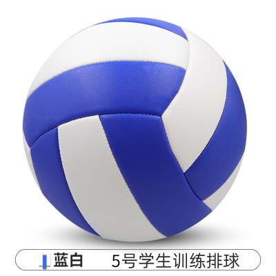 蓝白【常规款】5号中考学生专用（送气筒气针网兜）