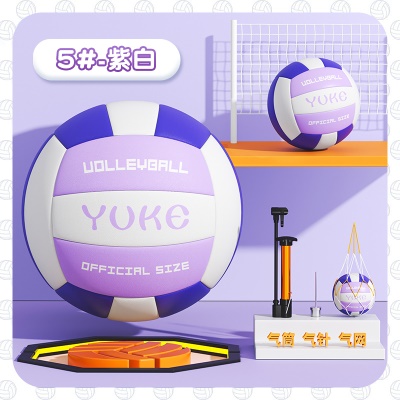 紫白色【5号新品标准款】送气筒+气针+网兜