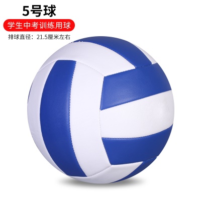 升级加厚款；5号中考专用蓝白 送气筒气针网兜