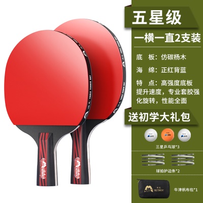 【五星级】直横拍各一支，送3个三星球+护边条+拍包
