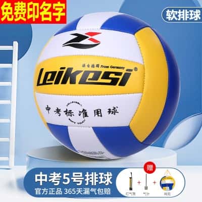 5号雷克斯软排球【免费印名字】 (打气筒+气针+网兜)