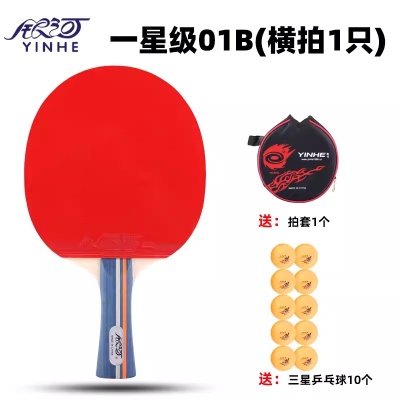 一星01B横板长把柄（送拍套+三星球10粒)