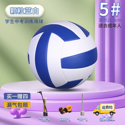 颗粒蓝白【5号防爆加厚】送气筒气针网兜