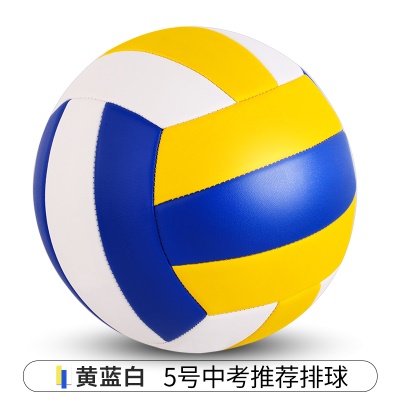 黄蓝白【常规款】5号中考学生专用（送气筒气针网兜）