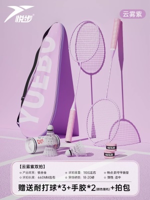 双拍-云雾紫【热销款攻守兼备】PRO-217 送3个耐打球+2个手胶+原装包