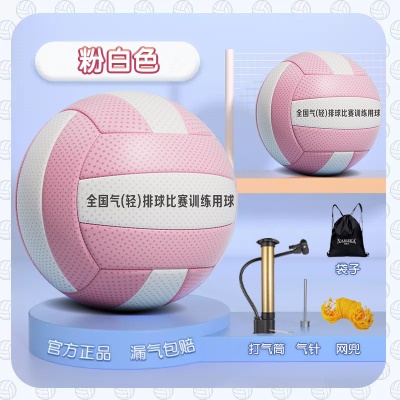 超轻气排球【5号粉色】中小学生 送袋子气针气筒网兜