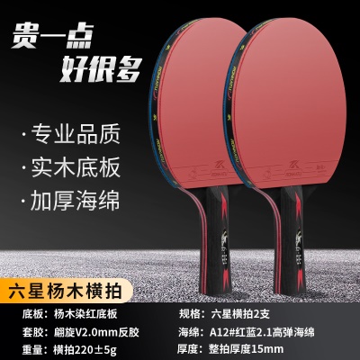 6星长柄横拍2支【专业品质+质保3年免费换新】